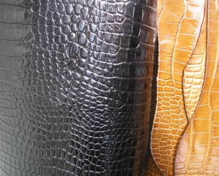 P8170321 [Desktop Resolution].JPG